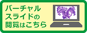 バーチャルスライドの閲覧はこちら